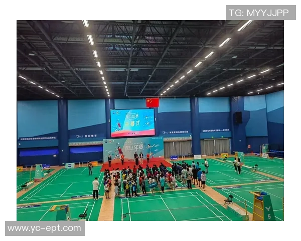 重庆羽毛球队技术表现深度分析与数据洞察探讨