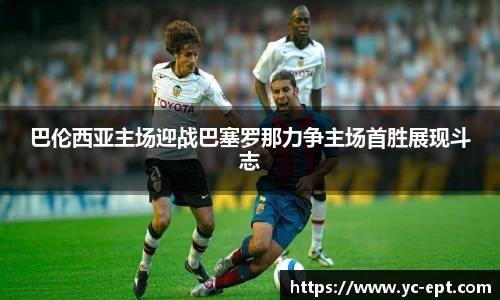 三亿体育