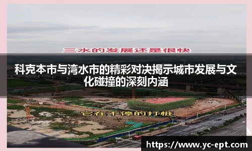 三亿体育APP