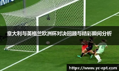 三亿体育