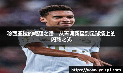 三亿体育官网