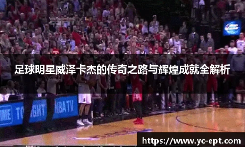 足球明星威泽卡杰的传奇之路与辉煌成就全解析